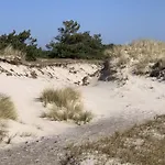 בית נופש On The Bodden Lagoon *