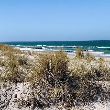On The Bodden Lagoon Zingst